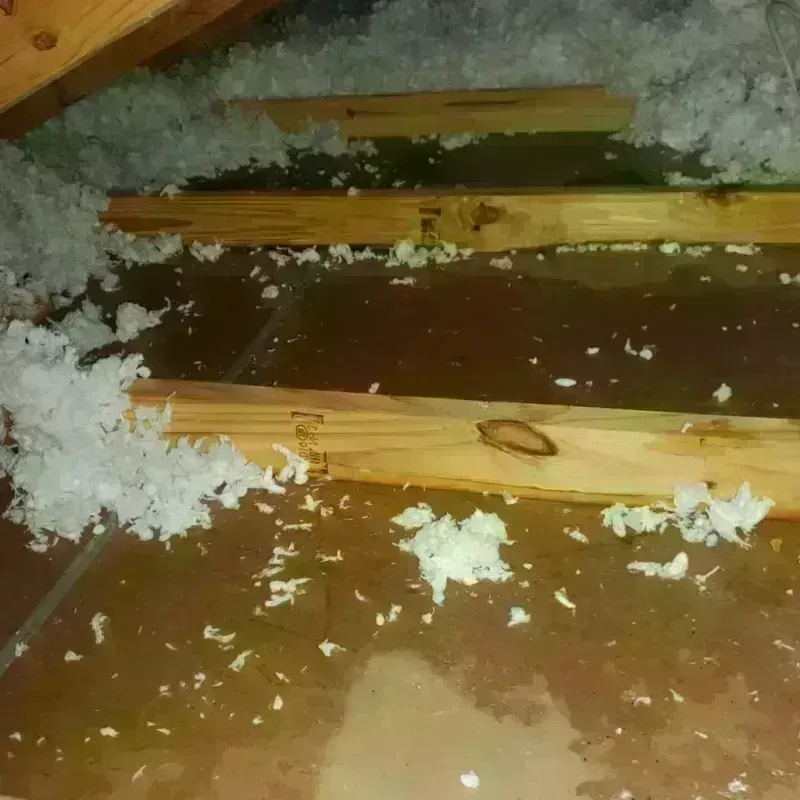 Attic Water Damage in Honeyville, UT